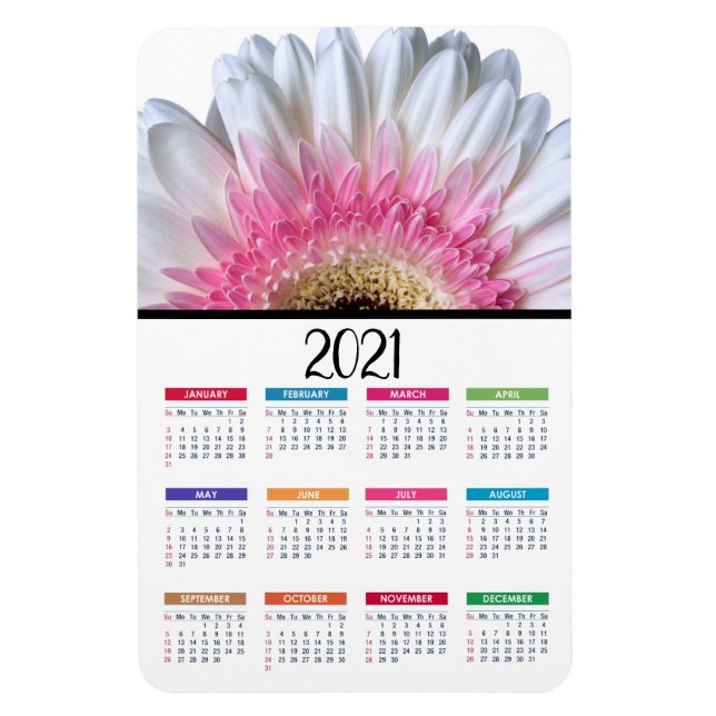Pink and White Gerbera Daisy | 2021 Calendar Magnet (Vertical)