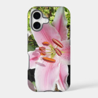 Pink and White Lily Flower