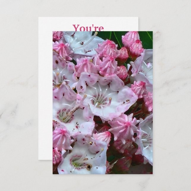 Pink and White Mountain Laurel Flowers Invitation (Front/Back)