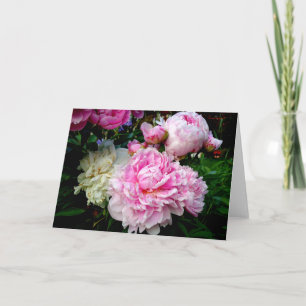 Pink and White Peonies Card