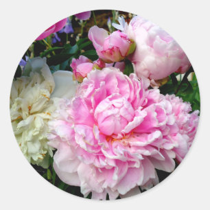 Pink and White Peonies Classic Round Sticker