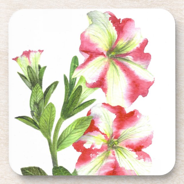 Pink and White Petunias Floral Art Coaster (Front)