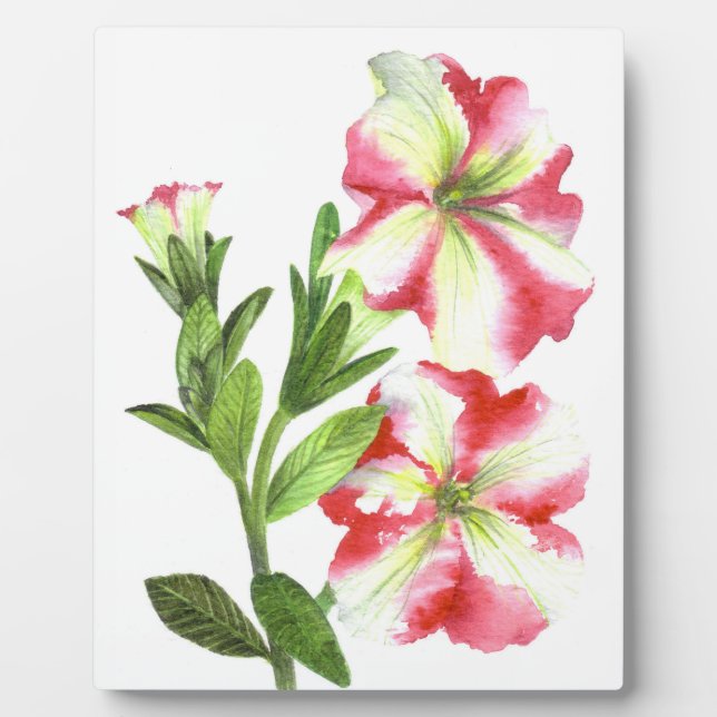 Pink and White Petunias Floral Art Plaque (Front)