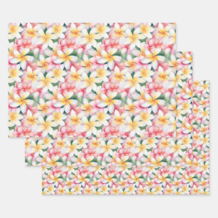 Pink and White Plumeria Flower Wrapping Paper Sheet