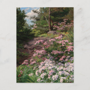 Pink and White Rhododendron   Thomas Allen, Jr. Postcard