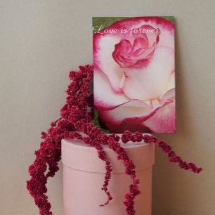 Pink and White Rose Personalized Marriage Proposal Card