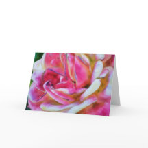 Pink and White Rose Watercolor Style Art