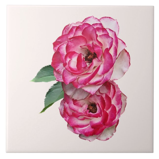 Pink and White Roses Tile (Front)