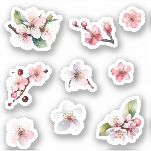 Pink and White Sakura Cherry Blossoms Flowers Pack (Front)