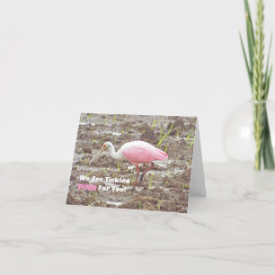 PINK AND WHITE SPOONBILL/TICKLED PINK FOR YOU/CONG CARD