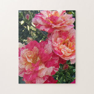 Pink and White Striped Roses Floral Art Jigsaw Puzzle
