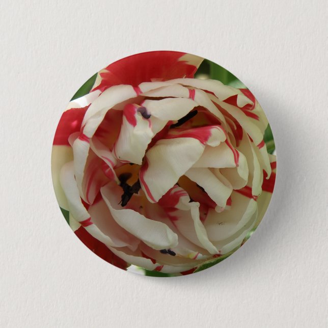 Pink and White Tulip Button (Front)