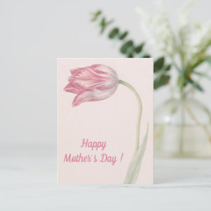 Pink and White Tulip -  Fine Art Mother's Day Postcard
