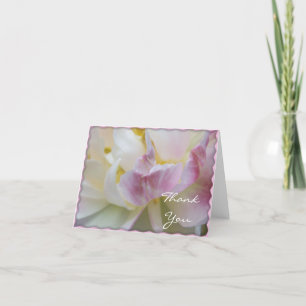 Pink and White Tulip Flower Blossom Thank You