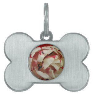 Pink and White Tulip Pet Tag