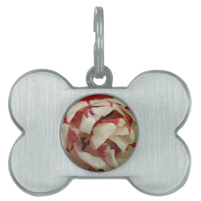 Pink and White Tulip Pet Tag (Front)