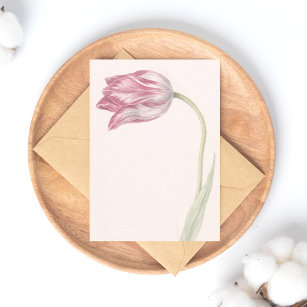 Pink and White Tulip -  Vintage Fine Art Postcard
