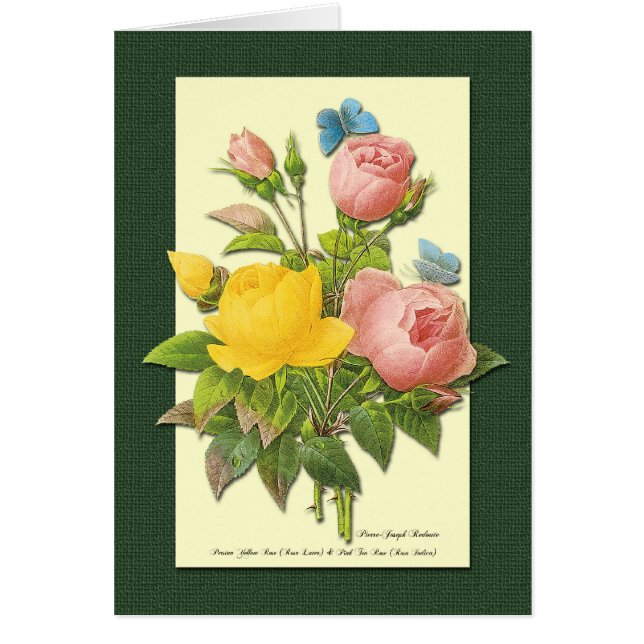 Pink and Yellow Botanical Roses Art Card (Front)