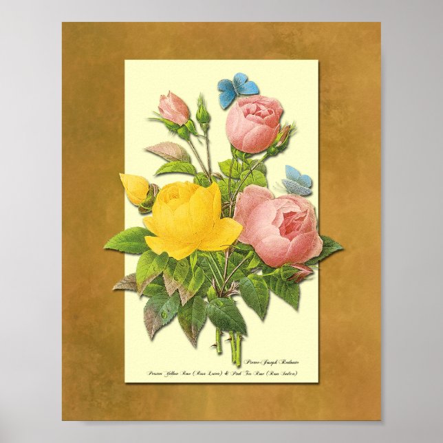 Pink and Yellow Botanical Roses Faux Parchment Art Poster (Front)
