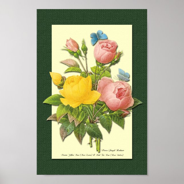 Pink and Yellow Botanical Roses on Green Poster (Front)