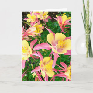 Pink and Yellow Columbines Thank You Card