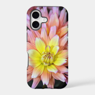 Pink and yellow dahlia flower iphone case