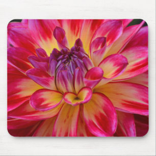 Pink and yellow dahlia flower mousepad