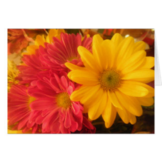 Pink and Yellow Daisies Customisable