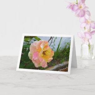 Pink and Yellow Floral Rose Card