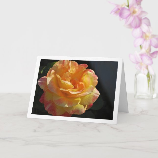 Pink and Yellow Floral Rose Card (Orchid)