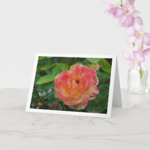 Pink and Yellow Floral Rose Portrait Card