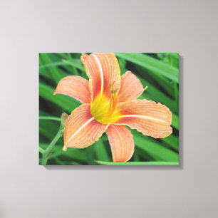 Pink and Yellow Flower Canvas Print