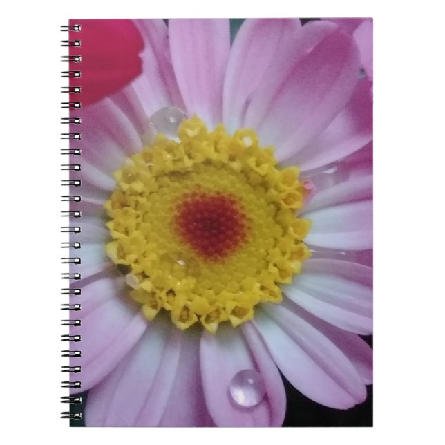 Pink and yellow flower notebook (Front)