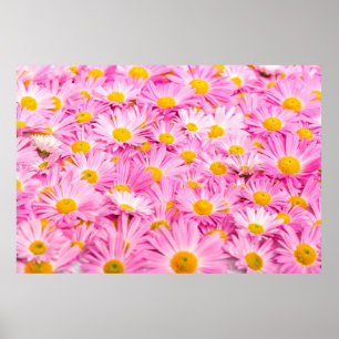 Pink and yellow flowers background  poster
