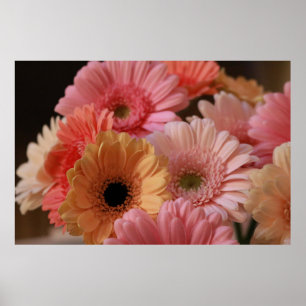 PINK AND YELLOW FLOWERS IN CLOSE UP PHOTOGRAPHY POSTER