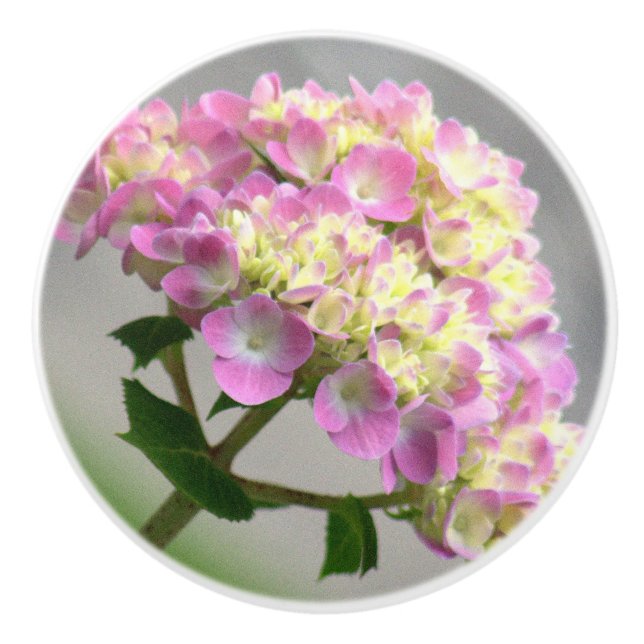 PINK AND YELLOW HYDRANGEA/DECORATIVE CERAMIC KNOB (Front)