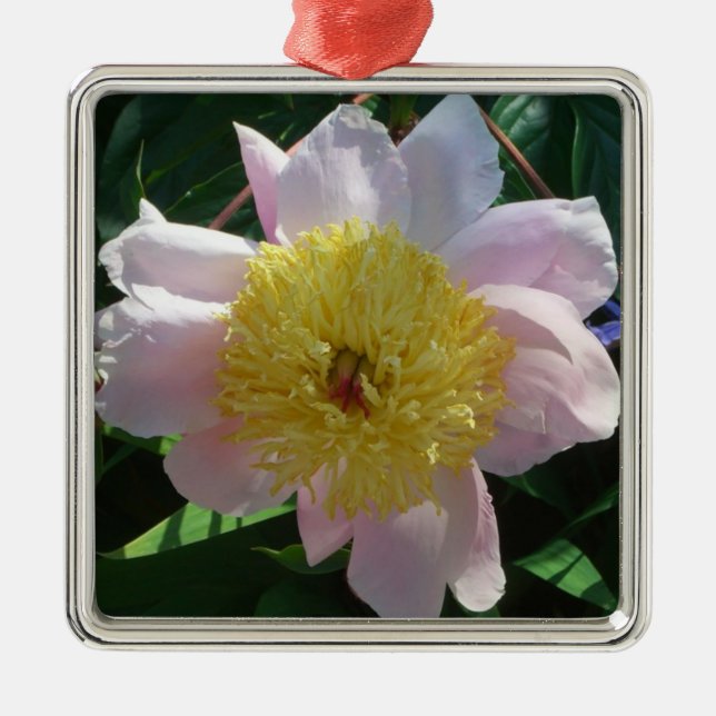 Pink and Yellow Peonies Beautiful Floral Metal Tree Decoration (Front)