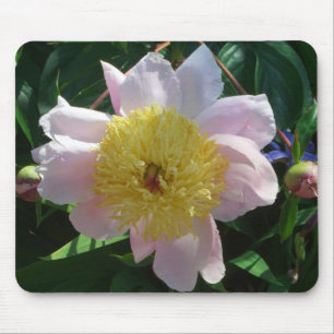 Pink and Yellow Peonies Beautiful Floral Mouse Mat