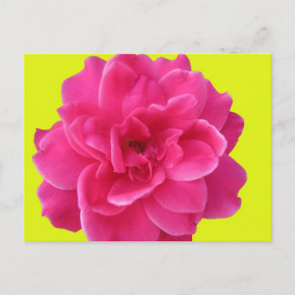 Pink and Yellow Postcard