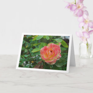 Pink and Yellow Rose Flower Portrait Card