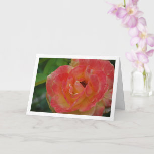 Pink and Yellow Rose Flower Portrait Card