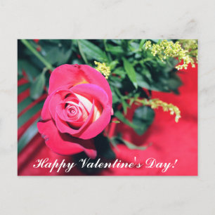 PINK AND YELLOW ROSE VALENTINES DAY POSTCARD