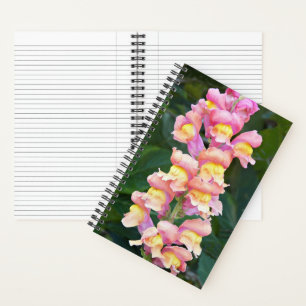 Pink and Yellow Snapdragon Floral Notebook