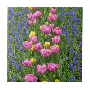 Pink and yellow spring tulips tile
