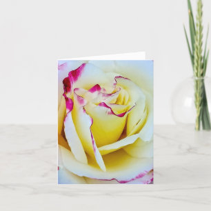 Pink and Yellow Tie Dye Rose in Bloom Holiday Card