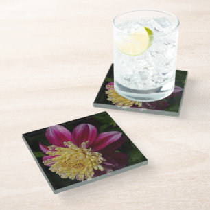 Pink Anemone Dahlia Bloom Floral Glass Coaster
