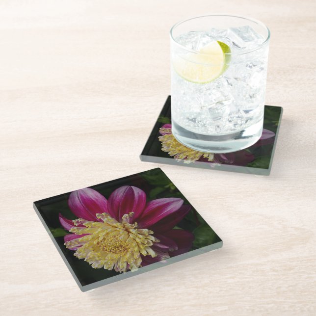 Pink Anemone Dahlia Bloom Floral Glass Coaster (Angled)