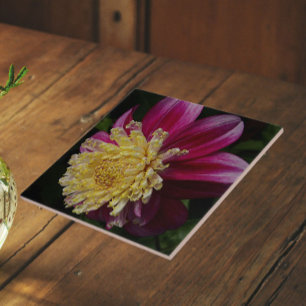 Pink Anemone Dahlia Bloom Floral Tile