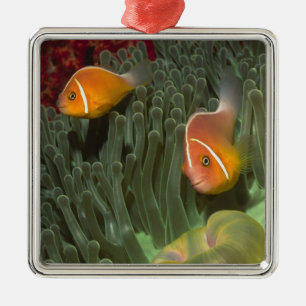 Pink Anemonefish in Magnificant Sea Anemone Metal Tree Decoration