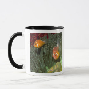 Pink Anemonefish in Magnificant Sea Anemone Mug